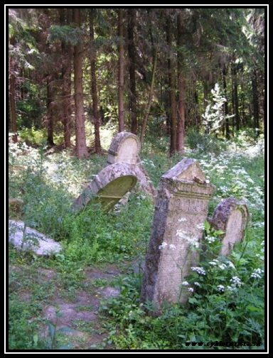 Cesta na hrad DOBR VODA. 