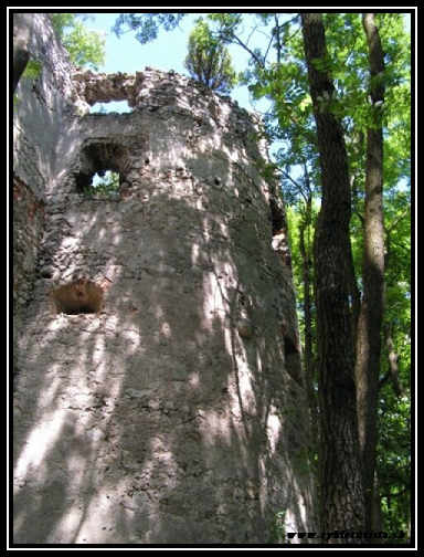 Hrad DOBR� VODA - Vonkaj�ie hradby. 