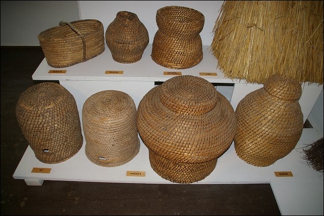 <FONT SIZE=2>N�rodopisn� expoz�cia regi�nu 