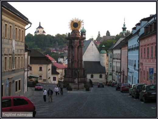 Bansk tivanica - zver. 