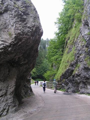 Mannska tiesava