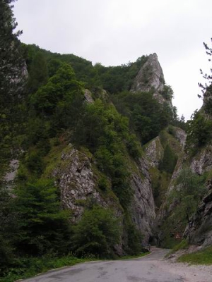 Mannska tiesava