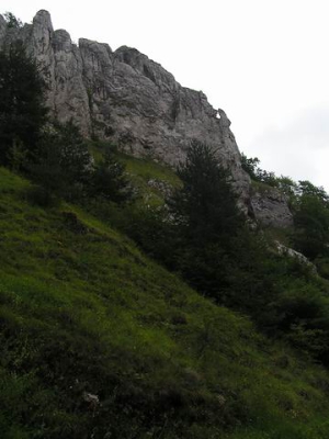 Mannska tiesava