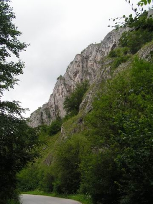 Mannska tiesava