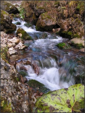 PROSIECKA DOLINA - potok 