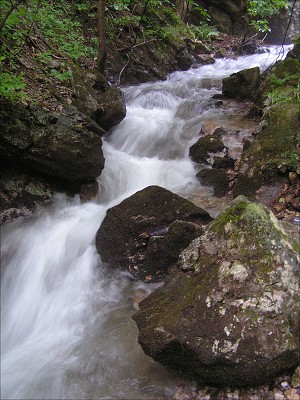 <FONT SIZE=2>Zádielska dolina - krása potoka. 