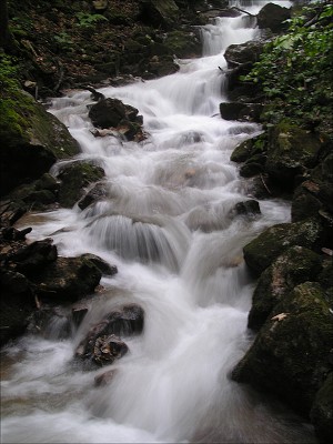 <FONT SIZE=2>Zádielska dolina - krása potoka. 