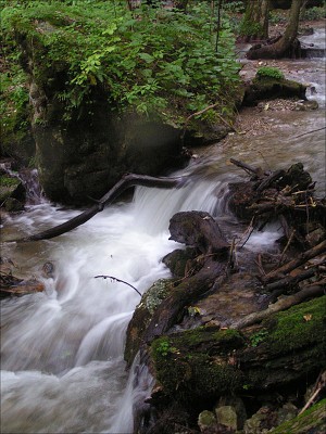 <FONT SIZE=2>Zádielska dolina - krása potoka. 