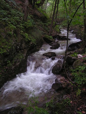 <FONT SIZE=2>Zádielska dolina - krása potoka. 