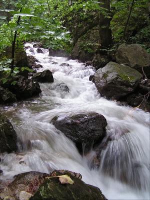 <FONT SIZE=2>Zádielska dolina - krása potoka. 