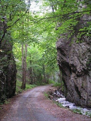 <FONT SIZE=2>Zádielska dolina - krása potoka. 