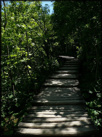 PLITVICKÉ JAZERÁ - chodník 